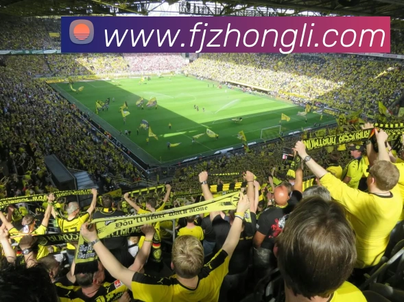 世界杯2026官网服务体系